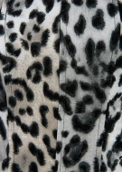 Top Leo