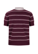 Koszulka polo w paski