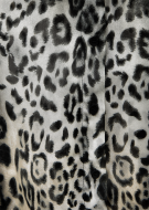 575130-004446-954-4.c04e8bb8_800x800.png